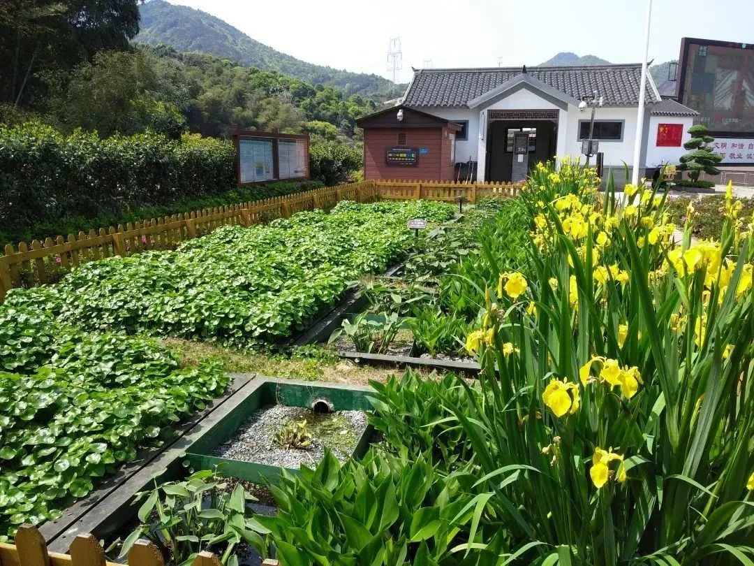 1679541592742742.jpg 1679541592742742.jpg