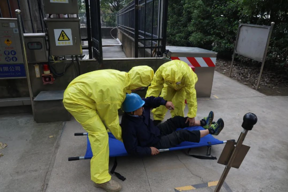 1732869028703479.png image.png